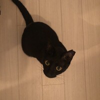 ミィ