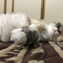 連休疲れ