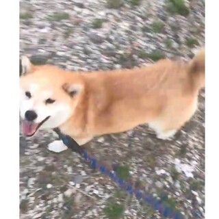 ありがとうございました！