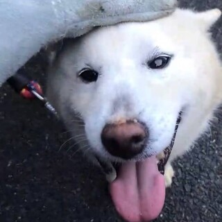 ありがとうございました！