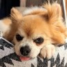 ロン サムネイル2