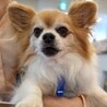 ロン サムネイル4