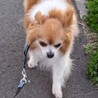 ロン サムネイル5