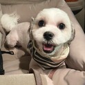 緊急レスキューしたまるる☆10ヶ月