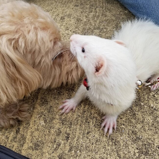 nagwon03ayaのカバー写真