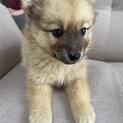 一旦ストップします。甘えん坊です