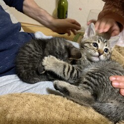 里親さんからのお写真⑤
