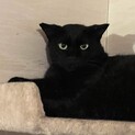 大火事の中生き残ったイケハタくん