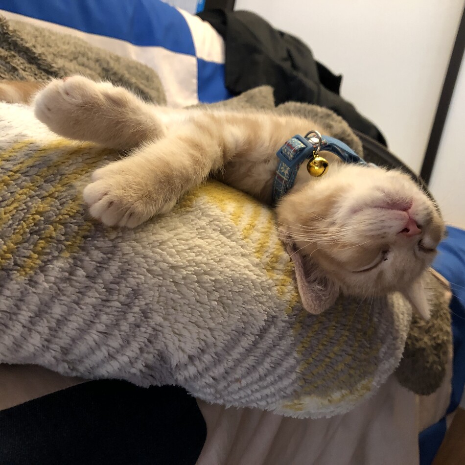 真呂のカバー写真
