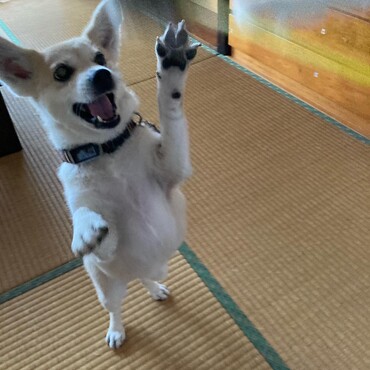の写真