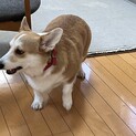 応募者様多数の為一旦募集停止します