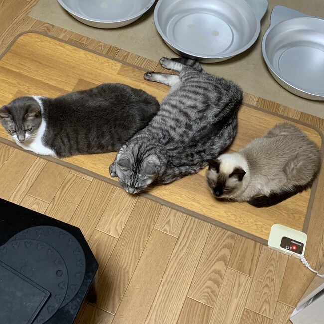 ひで379のカバー写真