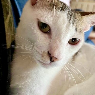 【代理募集】甘えんぼで愉快な子☆かんちゃん