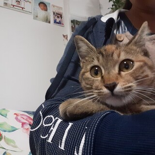 癒し系！人慣れした甘えん坊の女の子☆