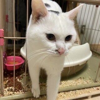 人懐っこいマリンちゃん