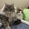 2匹並んで仲良し