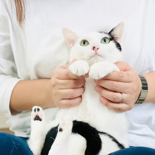 【再募集】エイミーちゃん