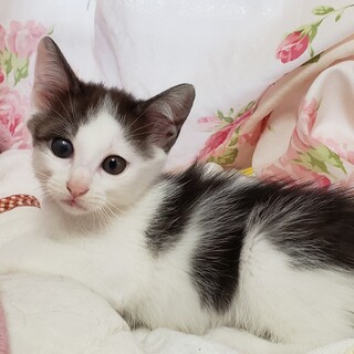 元気で可愛いしゅんくん