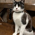 おもちゃで遊ぶのが大好きなトパーズくん