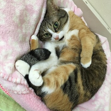 の写真