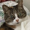 ミャのんさん