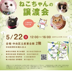 ねこざんまい譲渡会@東日本橋
