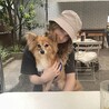 の写真