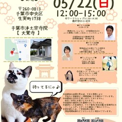 ねこの譲渡会
