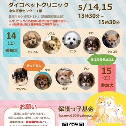 保護っ子基金　譲渡会　ＩＮ豊田市