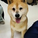 とても穏やかな男の子　バークリーくん