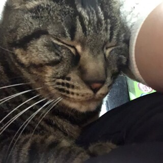 ベッタベタの甘えん坊さん♡じゆうくん