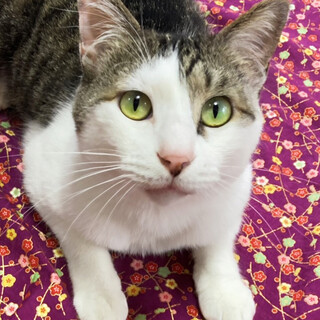 怖がりだけど本当は遊び好き♪４歳の男の子