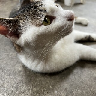 人なつこい子です