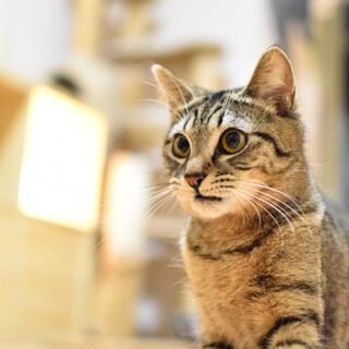 ちょっと短足エレンくん