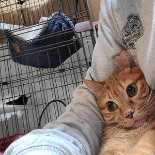 再募集 障害なんか気にしない！瞳が綺麗なひとみさん