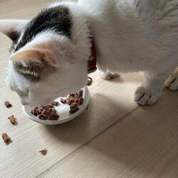 ユズコさん、看取り対応とはなんぞｗ