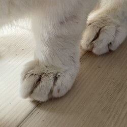 「ユズコさん、看取り対応とはなんぞｗ」サムネイル3