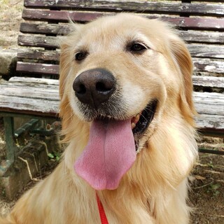 一時募集停止中