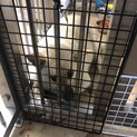 収容期限は19日朝までです！