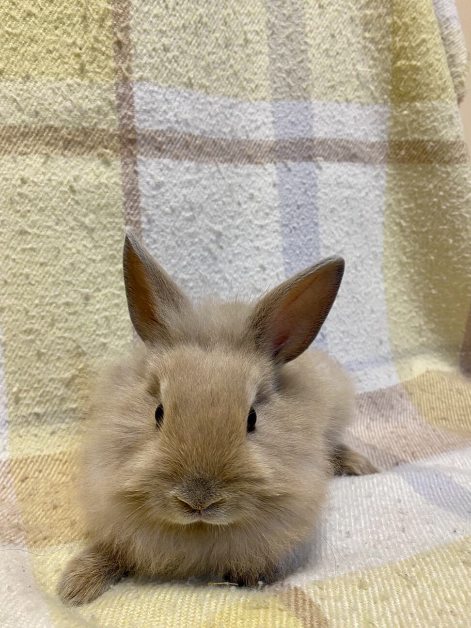 保護っこ2世 其の四 サムネイル2