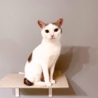 5/22千葉ෆ⃛お膝が大好きෆ⃛サランちゃん