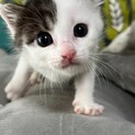 元気いっぱいのかわいこちゃん♡ミキちゃん