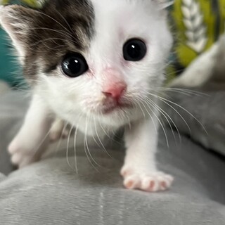 元気いっぱいのかわいこちゃん♡ミキちゃん