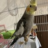 の写真