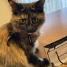 ヨリ