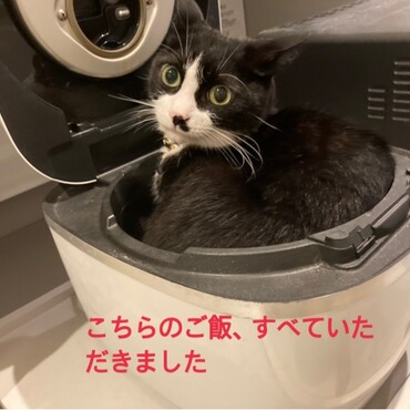 炊飯器の中、ずっと狙ってました！