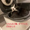 炊飯器の中、ずっと狙ってました！