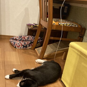 充電中