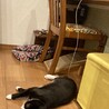充電中