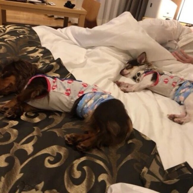 kumameのカバー写真